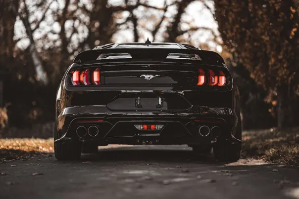 카지노 포쉬 빙고 안드로이드/iOS 앱